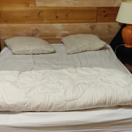라테스트드뷔크 La Cabane Rustique Du Bassin 아파트 외부 사진